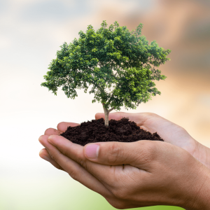Compromisso-com-a-sustentabilidade-acoes-da-Qualirede-1024x1024